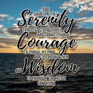 T-shirt Sarcastique personnes stupides Serenity Prayer tsh