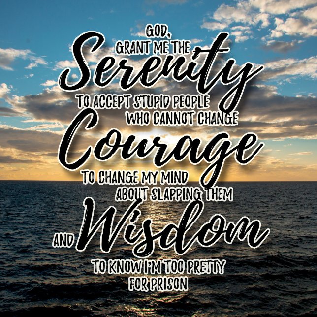 T-shirt Sarcastique personnes stupides Serenity Prayer tsh (Créateur téléchargé)