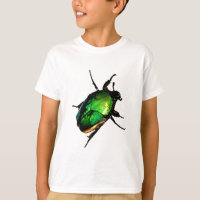 Scarab beetle