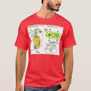 T-shirt Schéma de respiration et de photosynthèse cellulai
