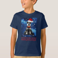 Schnauzer de Noël