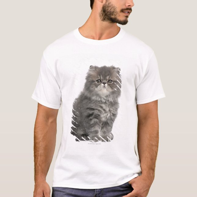 T-shirt Séance persane de chaton (2 mois) (Devant)