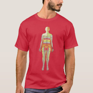 T-shirt Sensory Dermatome Anatomologie Neurologie Médical