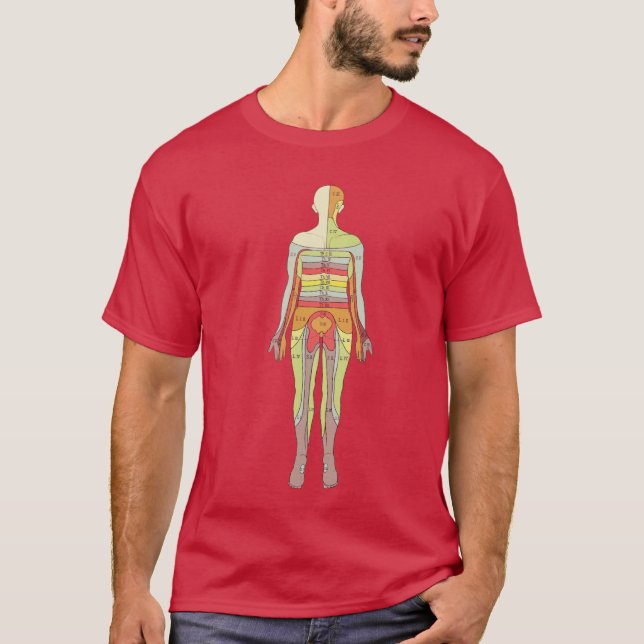 T-shirt Sensory Dermatome Anatomologie Neurologie Médicale (Devant)