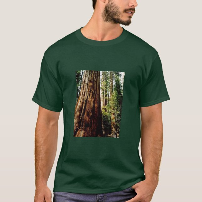 T-shirt Séquoias de Yosemite (Devant)