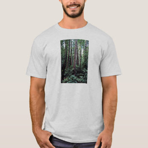 T-shirt Séquoias - monument national en bois de Muir