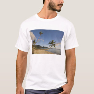 T-shirt Seychelles, île de Mahe, palmier horizontal,