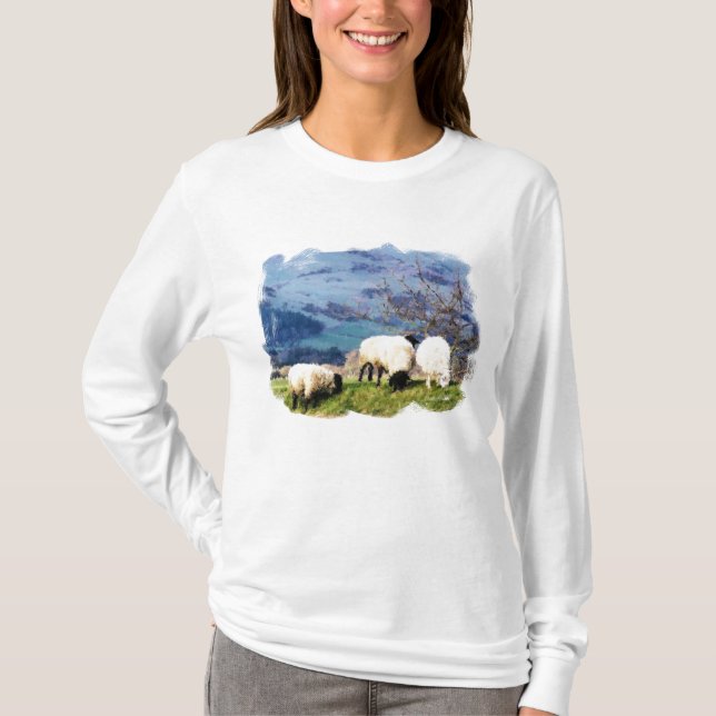 T-SHIRT SHEEP (Devant)