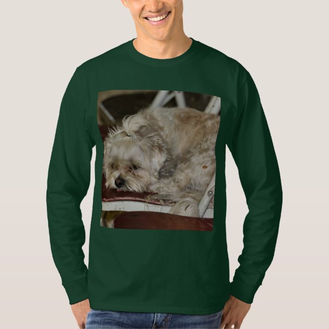 T-shirt Shih poo (Devant)