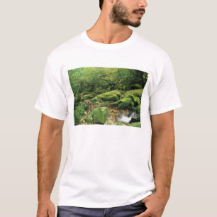 T-shirt Shiratani Unsuikyo, Yakushima, Kagoshima, Japon