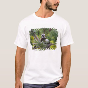 T-shirt Sifaka de Coquerel dans la forêt