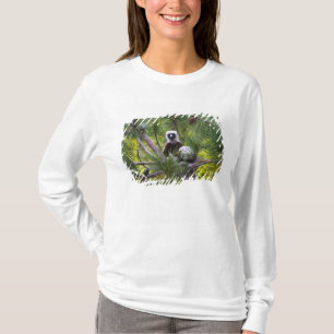 T-shirt Sifaka de Coquerel dans la forêt