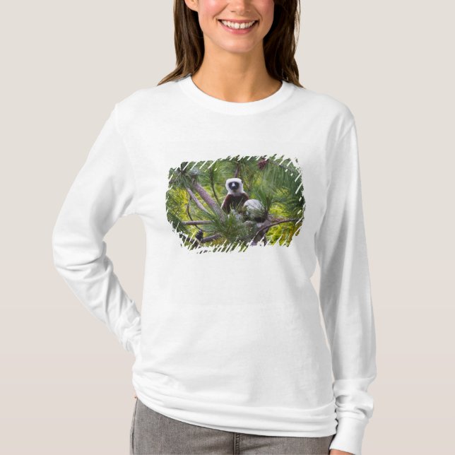 T-shirt Sifaka de Coquerel dans la forêt (Devant)