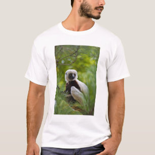 T-shirt Sifaka de Coquerel dans la forêt 2