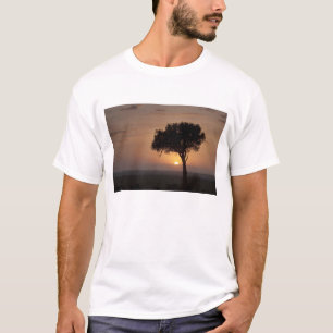 T-shirt Silhouette d'arbre dans la plaine, Masai Mara 2