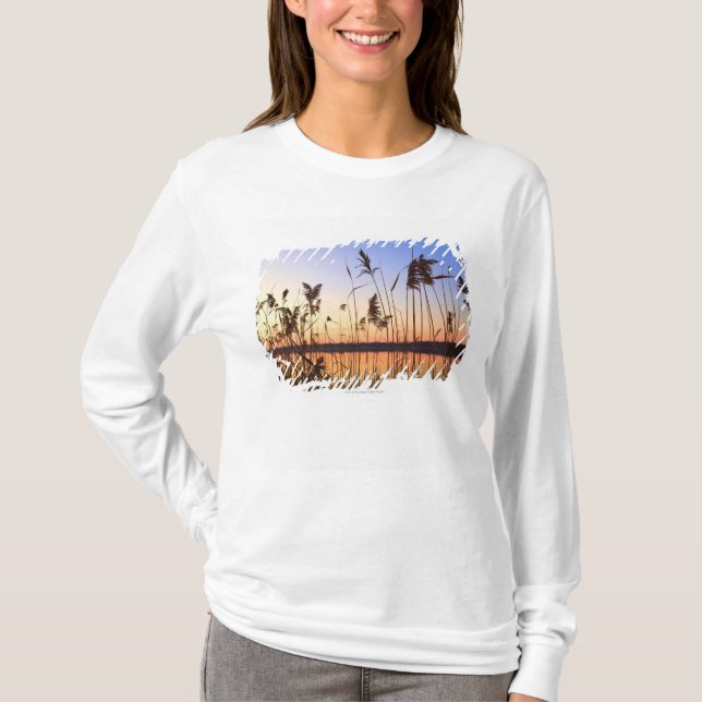 T-shirt Silhouette de plante par coucher du soleil de (Devant)