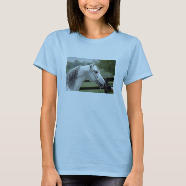 T-shirt Silverstone Shamal (Devant)