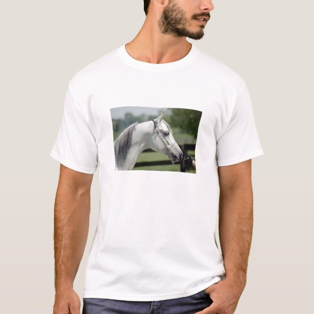 T-shirt Silverstone Shamal (Devant)