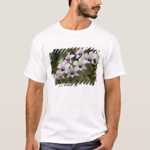 T-shirt Singapour (sanscrit pour Ville Lion). National 2