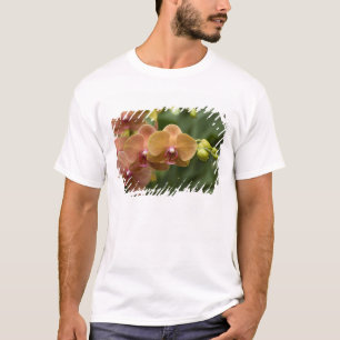T-shirt Singapour Sanskrit pour la ville du lion). Nationa