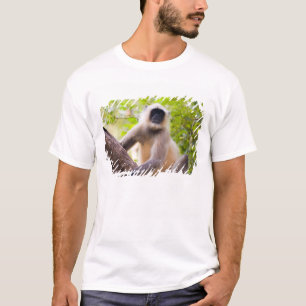 T-shirt Singe dans la jungle du parc national de Ranthambo