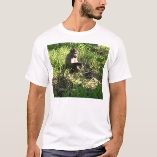 T-shirt Singe de bébé