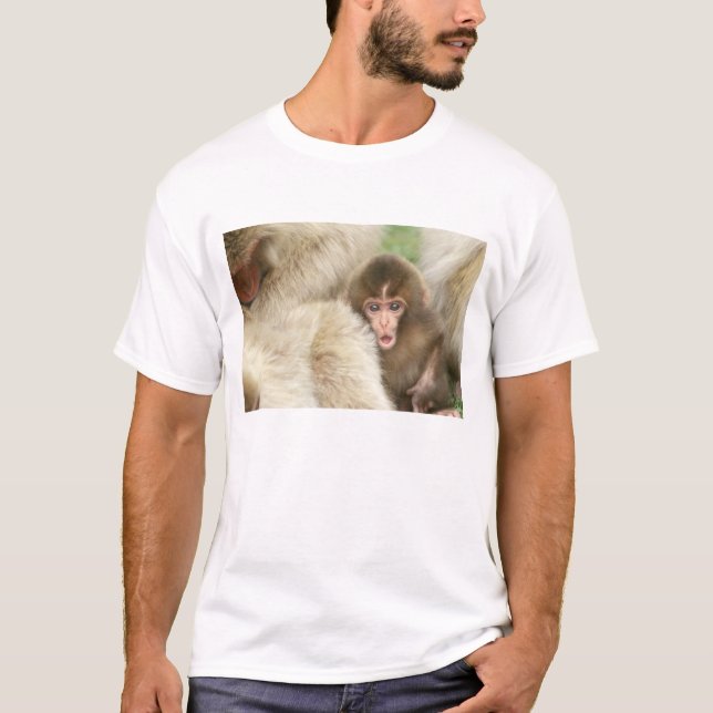 T-shirt Singe des neiges, Jigokudani, Nagano, Japon (Devant)