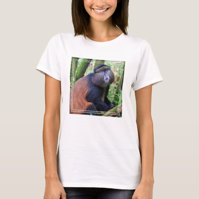 T-shirt Singe doré, Rwanda (Devant)