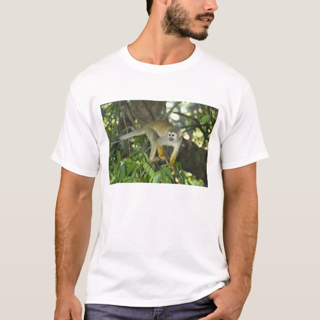 T-shirt Singe écureuil commun, (Saimiri sciureus), Rio (Devant)