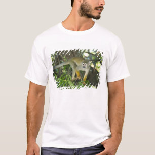 T-shirt Singe-écureuil commun, (Saimiri sciureus), Rio