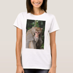 T-shirt Singe Macaque