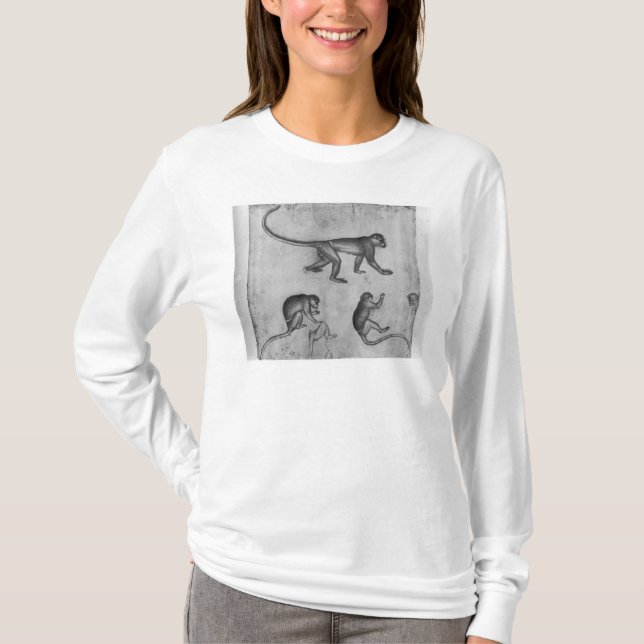 T-shirt Singes, de l'album de Vallardi (Devant)