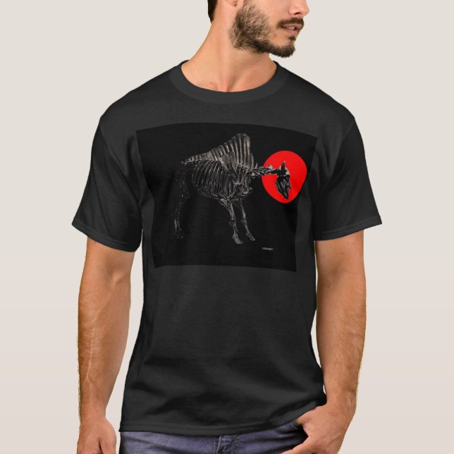 T-shirt SkullFalo (Devant)