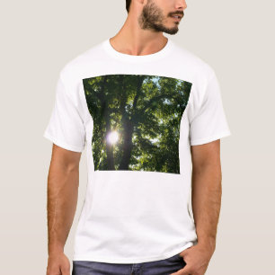 T-shirt Soleil brillant à travers les arbres