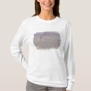 T-shirt Soleil chez Skagen : Garçons nageant, 1892