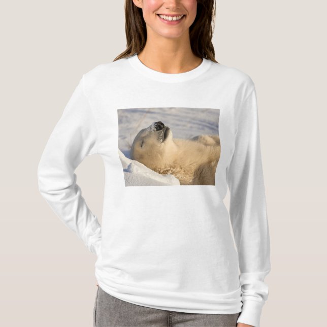 T-shirt Sommeil de l'ours polaire (Devant)