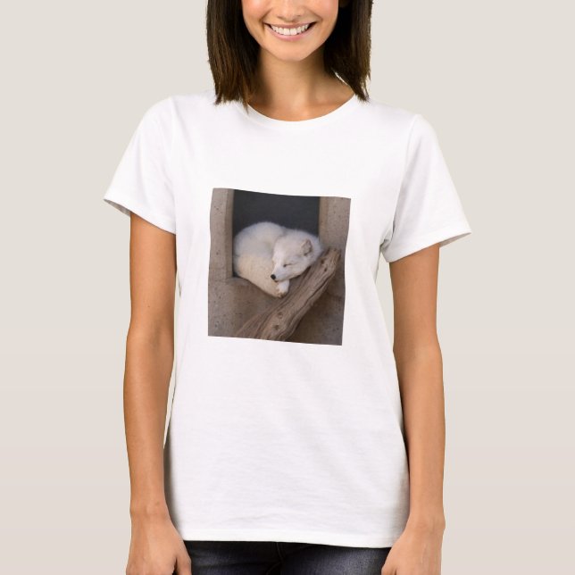 T-shirt Sommeil mignon de Fox arctique (Devant)