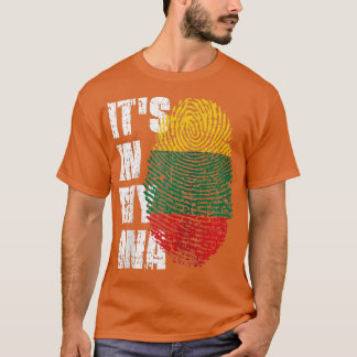 T-shirt SON DANS MON ADN Lituanie Drapeau lituanien Raglan