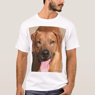 T-shirt Sourire de Joe