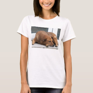 T-shirt Soyez un chien ennuyé