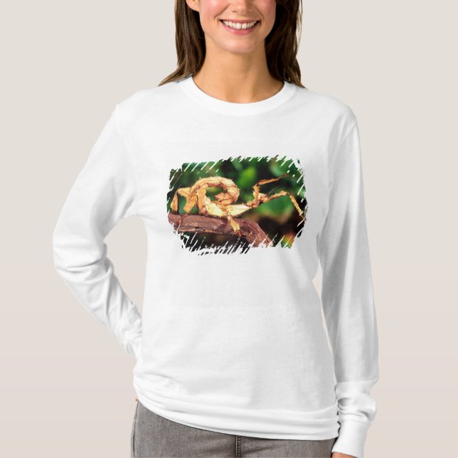 T-shirt Spectre de Macleay (Phasme épineux), (Devant)