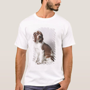 T-shirt Springer spaniel