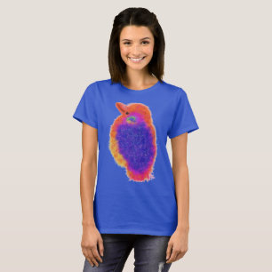 T-shirt Ssimcha de l'arc-en-ciel
