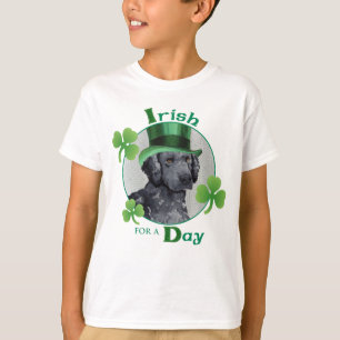 T-shirt St. Patrick's Day Curly-Coated Retriever
