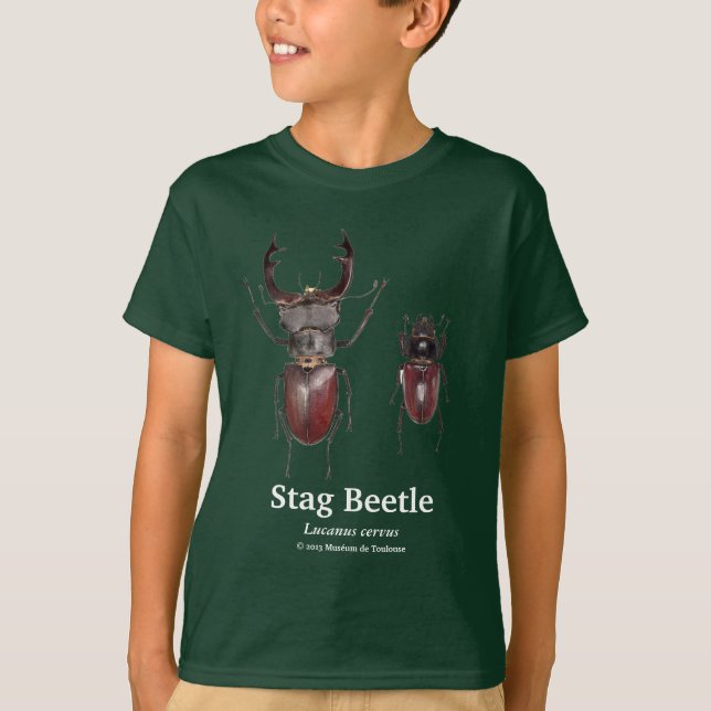 T-shirt Stag Beetle,Lucanus cervus (Devant)