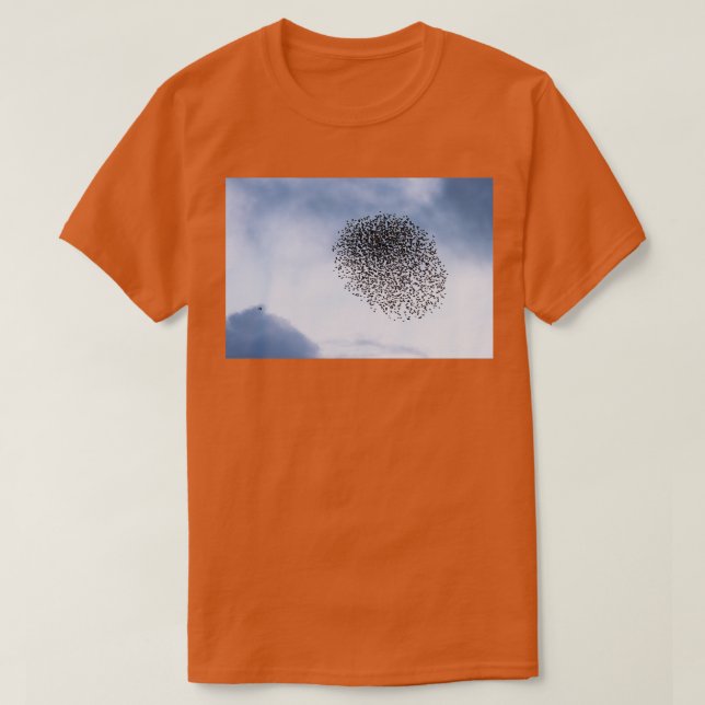 T-shirt Starlings v sparrowhawawawk I (Design devant)