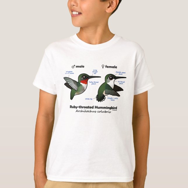 T-shirt Statistiques sur les colibris à gorge rubis (Devant)