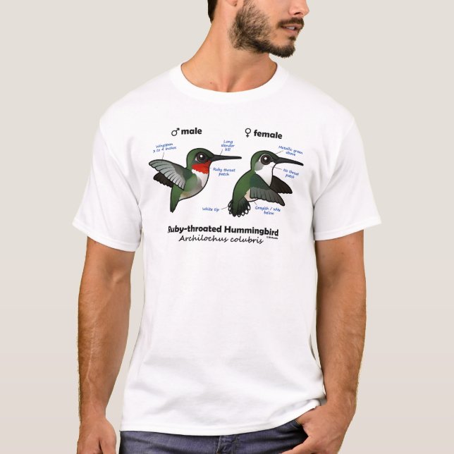 T-shirt Statistiques sur les colibris à gorge rubis (Devant)