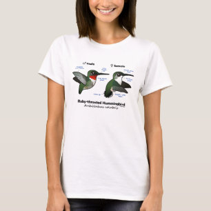 T-shirt Statistiques sur les colibris à gorge rubis