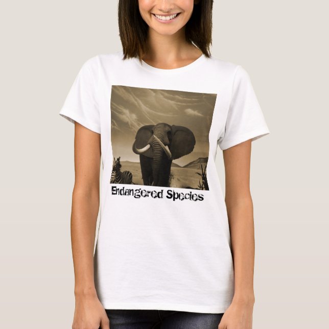 T-shirt Stature de Majestic (Devant)